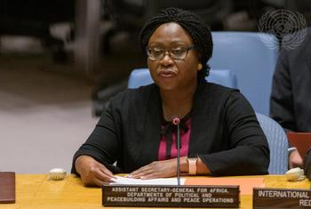 Security Council Meets on Climate and Security in Africa