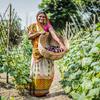 नेपाल में कृषि विकास परियोजनाएँ के ज़रिये, ग्रामीण समुदायों में ग़रीबी कम करने में मदद मिल रही है.