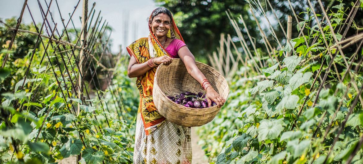 Agricultural development projects are helping to reduce poverty in rural communities in Nepal.