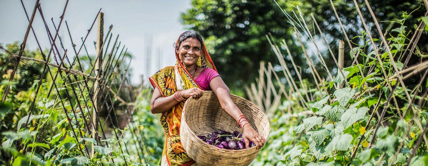 Agricultural development projects are helping to reduce poverty in rural communities in Nepal.