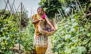 Agricultural development projects are helping to reduce poverty in rural communities in Nepal.