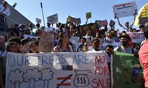 Activists stage massive protest at COP27 in Sharm El-Sheikh in 2022 demanding leaders to address vital issues realted to agriculture, adaptation and climate resilience.