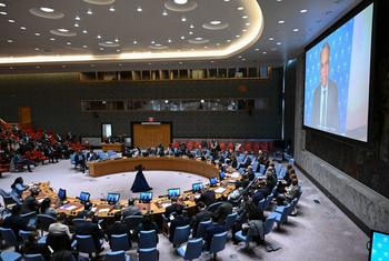 联合国人道主义事务协调厅协调司司长拉贾辛加姆向安理会汇报苏丹局势情况。