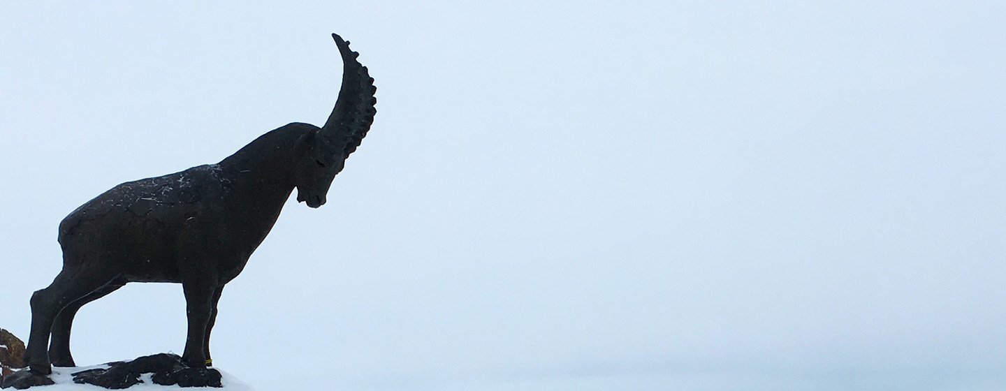 media:entermedia_image:6b0c3250-1ae8-49ab-8eaf-92506223a2dd