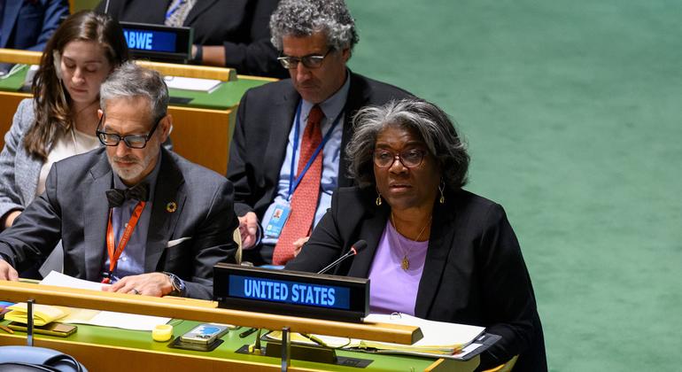 美国常驻联合国代表格林菲尔德在联大发言。