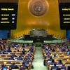 اقوام متحدہ کی جنرل اسمبلی نے مقبوضہ فلسطینی علاقوں پر اپنے دسویں ہنگامی سیشن کے پینتالیسویں اجلاس کے دوران ’شہریوں کے تحفظ اور بین الاقوامی قوانین کی پابندی‘ کے حق میں قرارداد منظور کی ہے۔