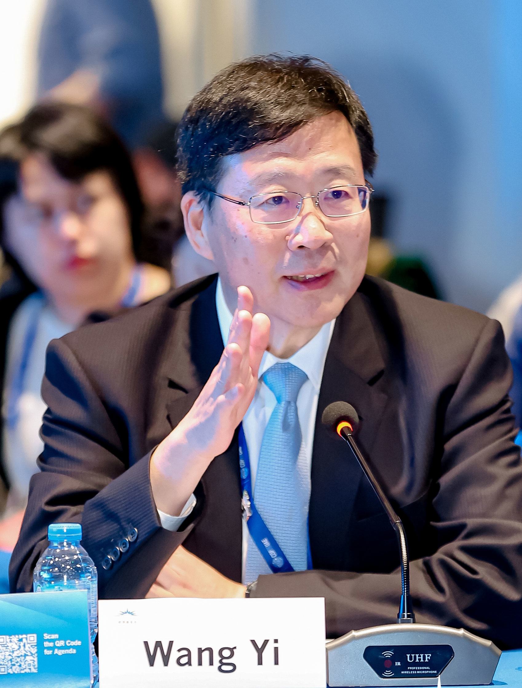 应对气候变化，全球一盘棋——专访中国专家王毅