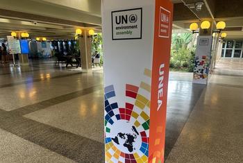 Azimio la UNEA-7 kuhusu hatua za tabianchi na mchango wa michezo katika uhamasishaji.