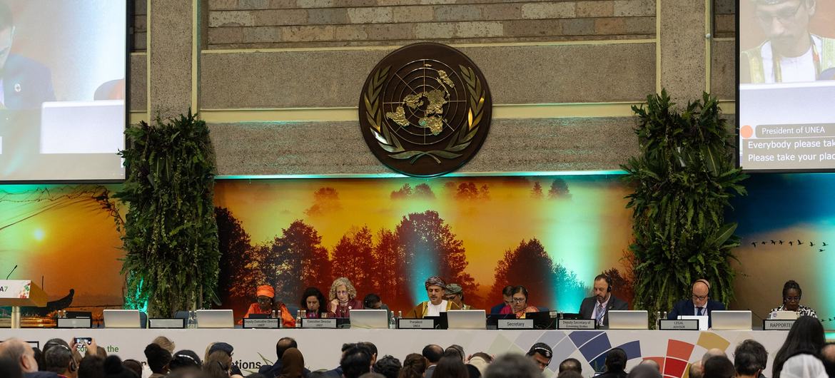 UN environment assembly wraps up in Nairobi