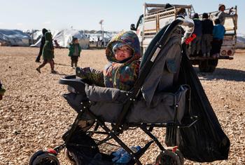 A young child sits in a stroller in the annex of Al-Hol camp in northeast Syria.