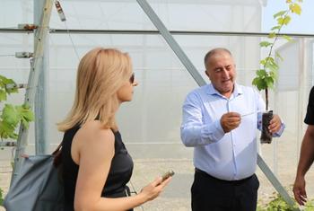 ФАО многие годы ведет работу по поддержке виноградарского сектора Армении. 