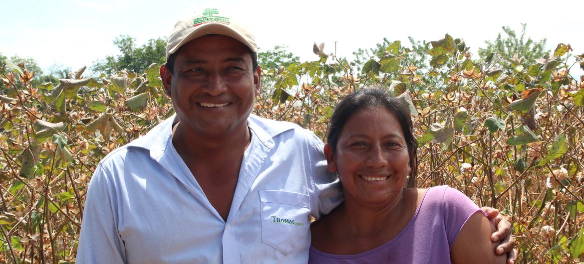 La familia Timote Chila en su campo de algodón. 