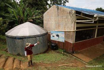 El agua recogida en tanques se convierte en potable en la selva amazónica colombiana gracias a filtros de arena, carbón y luz ultravioleta a través de un proyecto de AMEXCID y la FAO. El agua recogida en tanques se convierte en potable en la selva amazónica colombiana gracias a filtros de arena, carbón y luz ultravioleta a través de un proyecto de AMEXCID y la FAO.