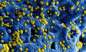 Imagen digital del coronavirus MERS.