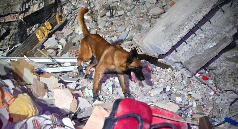 В поисково-спасательных работах участвуют десять тысяч человек и 50 собак. 