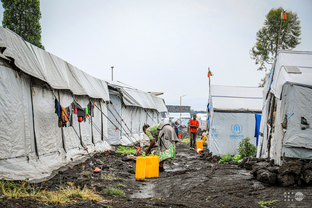 media:entermedia_image:7b71520b-9cf0-4918-b8ec-e654e688a34b