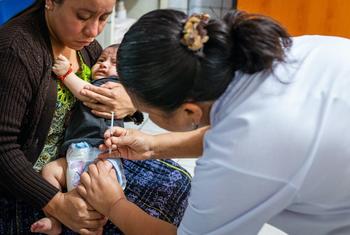 在危地马拉的上维拉帕斯省，一名五个月大的婴儿在一家卫生中心接种疫苗。