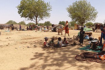 Des réfugiés fuyant les récentes violences dans la région du Darfour au Soudan s'assoient à l'ombre près de la ville d'Adré, au Tchad.