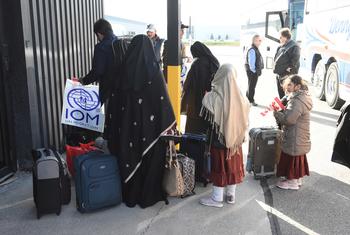 自2021年8月以来，数万名阿富汗人在国际移民组织的支持下被重新安置到加拿大。