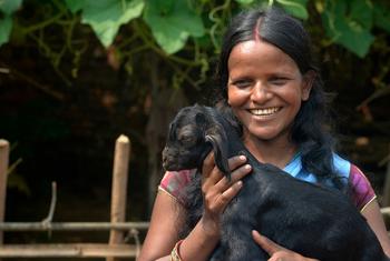 भारत में जौहर परियोजना के तहत अब तक एक हज़ार से अधिक पशु सखियों को प्रशिक्षित किया जा चुका है.