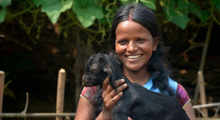 भारत में जौहर परियोजना के तहत अब तक एक हज़ार से अधिक पशु सखियों को प्रशिक्षित किया जा चुका है.