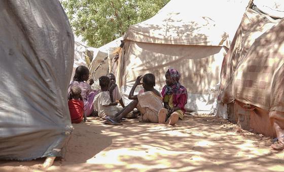 ICC Prosecutor appeals for evidence of Darfur atrocities