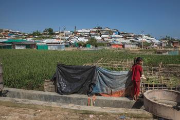 Le Bangladesh a accueilli des réfugiés rohingyas du Myanmar à la suite de flambées de violence et de persécution (archives)