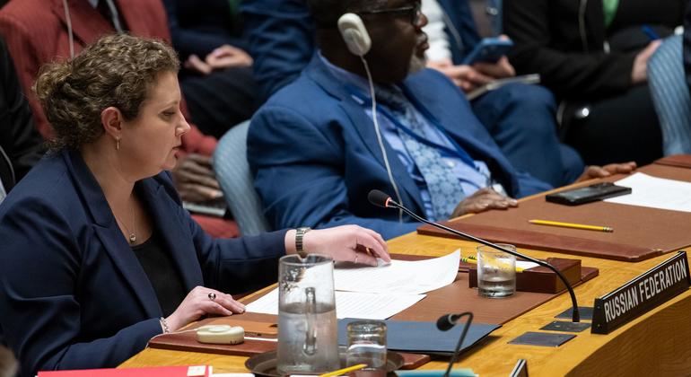 نائبة السفير الروسي لدى الأمم المتحدة آنا يفستيغنييفا، تتحدث أمام مجلس الأمن الدولي.
