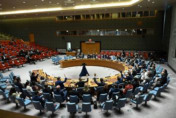 سوڈان پر اقوام متحدہ کی سلامتی کونسل کے اجلاس کا ایک منظر۔