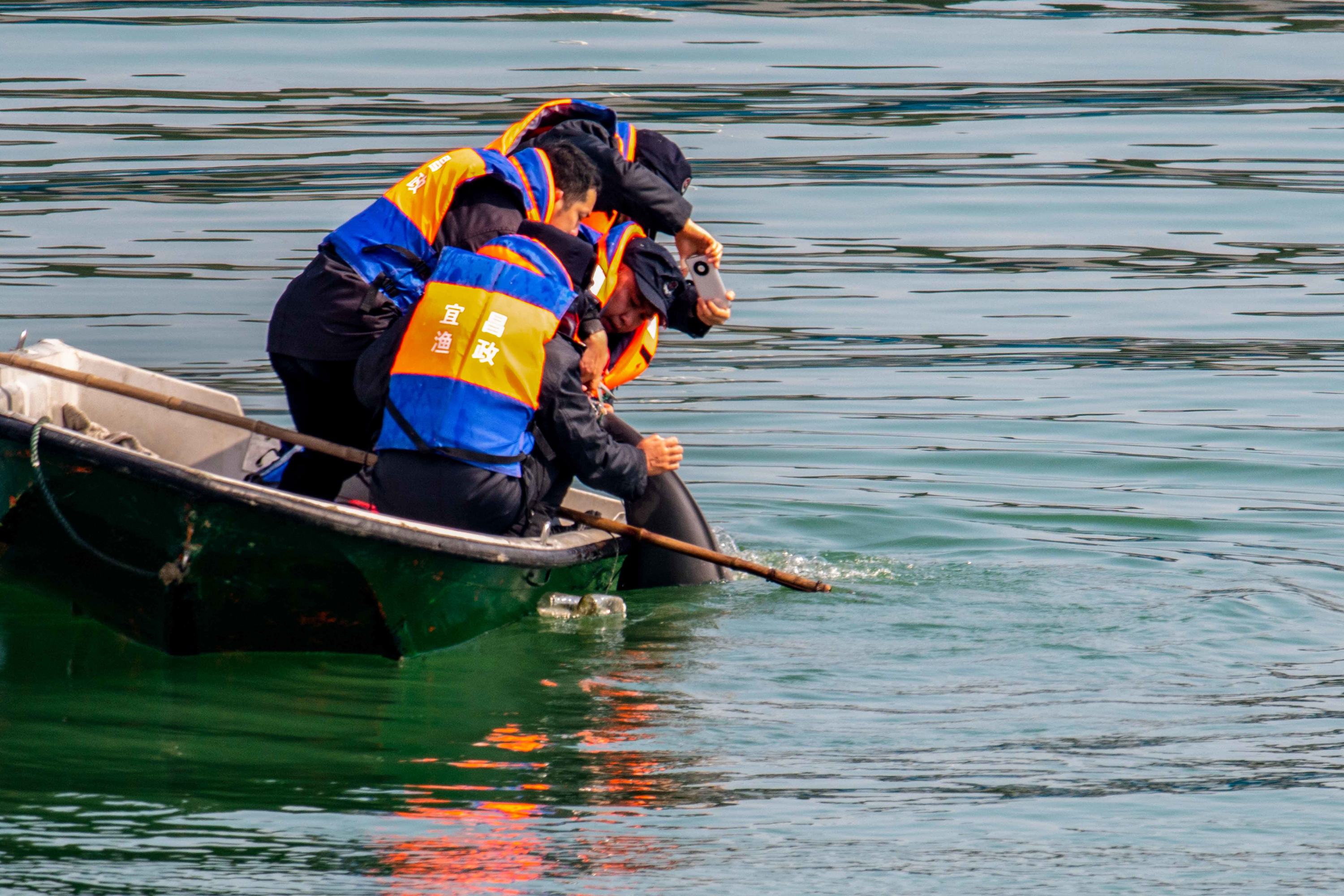 宜昌渔政人员救助被绳子缠住的江豚。