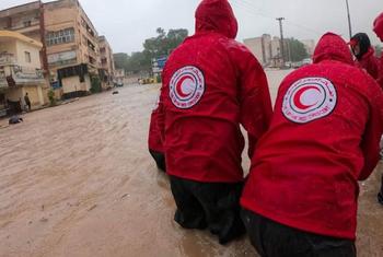 红新月会团队正在支持受利比亚东北部洪灾影响的社区。