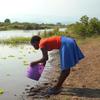 Noria Kanyama, a primary school student in Chikwawa district, Southern region of Malawi, fetching water from a nearby river.