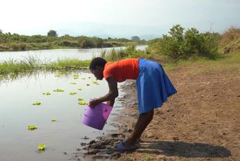 Школьница набирает воду в Малави.