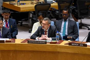 فولكر بيرتس، رئيس بعثة الأمم المتحدة في السودان يتحدث أمام مجلس الأمن في آخر إحاطة له بصفته ممثلا للأمين العام في السودان.