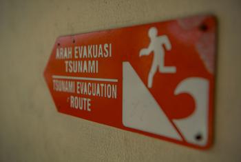 巴厘岛一所学校的海啸疏散路线标志。