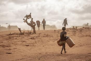 Les gens cherchent de l'eau dans le sud de Madagascar frappé par la sécheresse.