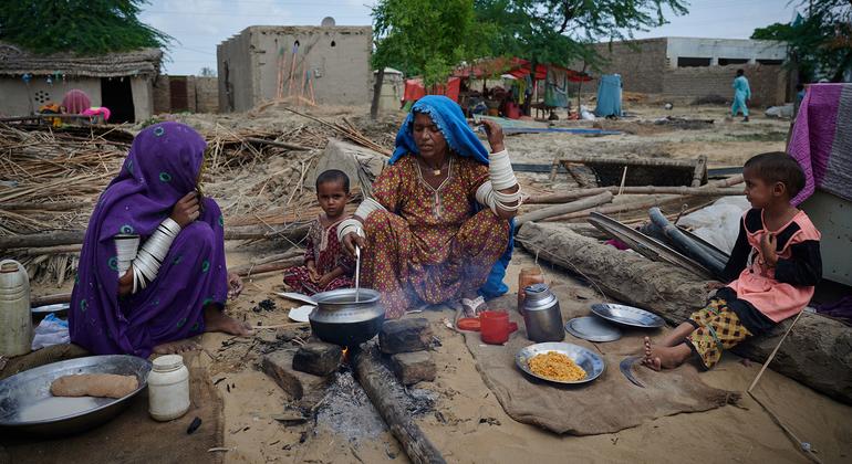 El PMA proporciona ayuda alimentaria a las familias cuyos hogares fueron destruidos por las devastadoras inundaciones en Pakistán.