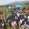 坦桑尼亚的小学生参与种植粮农组织捐赠的牛油果树。