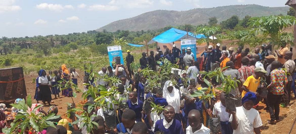 坦桑尼亚的小学生参与种植粮农组织捐赠的牛油果树。