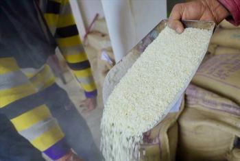 एशिया-प्रशान्त क्षेत्र में पोषक तत्वों से सुदृढ़ चावल और गेहूँ, आहार एवं भविष्य, दोनों बदल रहे हैं.