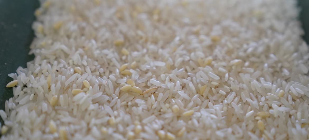 Arroz blanco fortificado producido en Camboya.