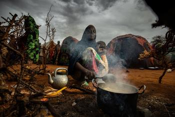 一位母亲在索马里多洛的一个流离失所者营地为她的孩子做饭。