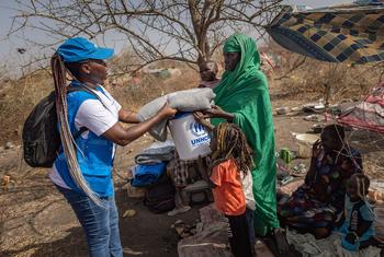 难民署在南苏丹伦克的一个转运中心向返回者分发救援物品。