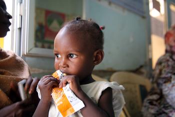 苏丹全国有近1800万人面临严重饥饿。