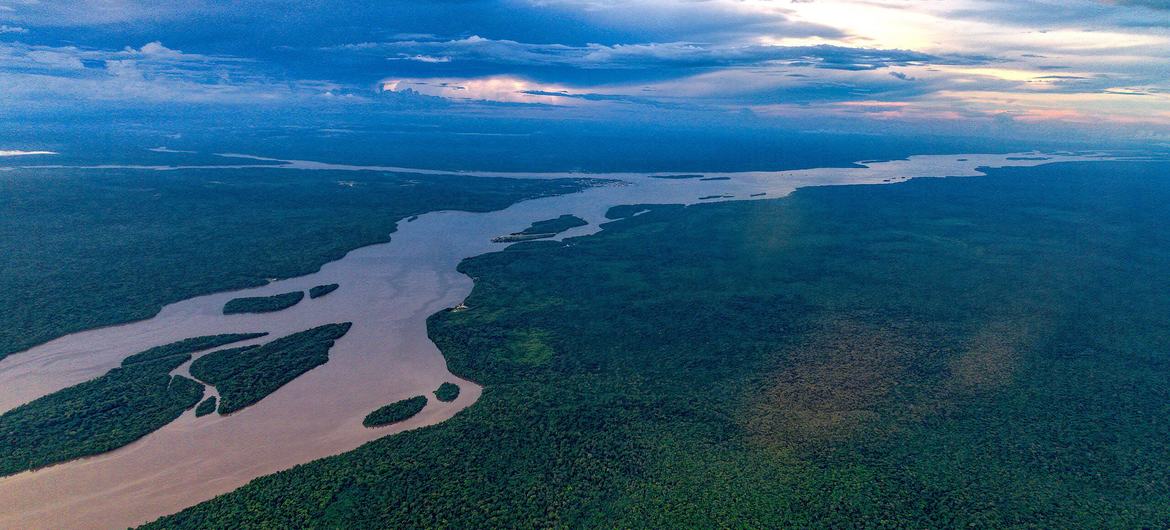 Vista del río Esequibo.