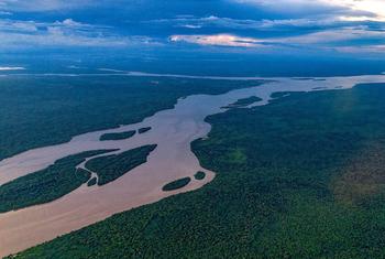 委内瑞拉与圭亚那存在领土争议地区的埃塞奎博河。