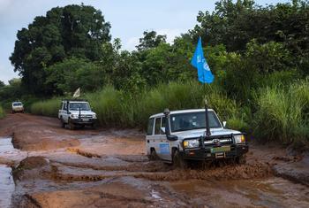 Des véhicules du convoi de UNICEF , arborant des drapeaux, circulent sur une route boueuse en République centrafricaine.
