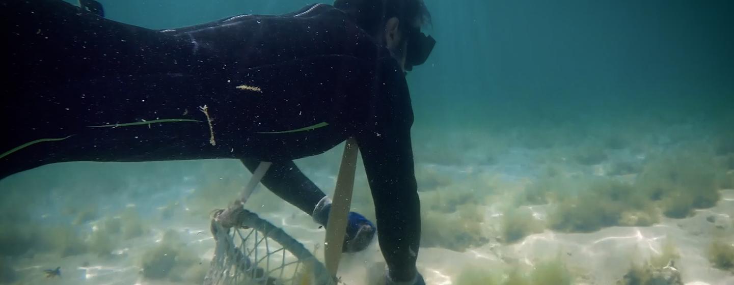 Reviving a millennia-old tradition — World Points