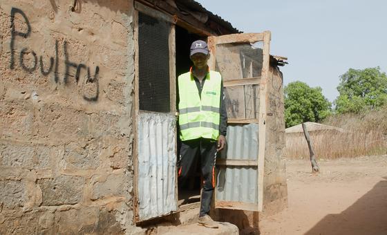 First Person: Hatching a plan for success in rural Gambia