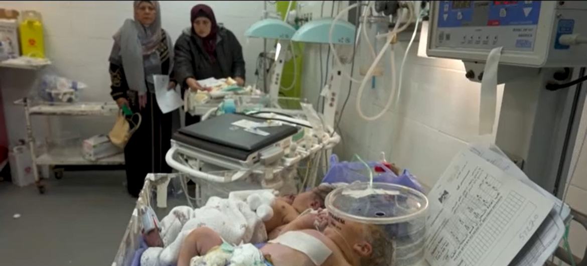 Dos bebés colocados en una sola cama en la Maternidad Al-Helal Al-Emirati de Rafah.
